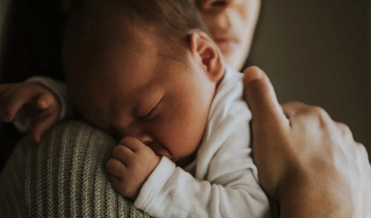 Stepparent Adoption